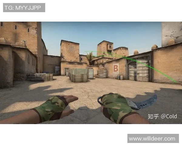 CSGO战术分析：深入探讨WE战队的控制策略与执行细节