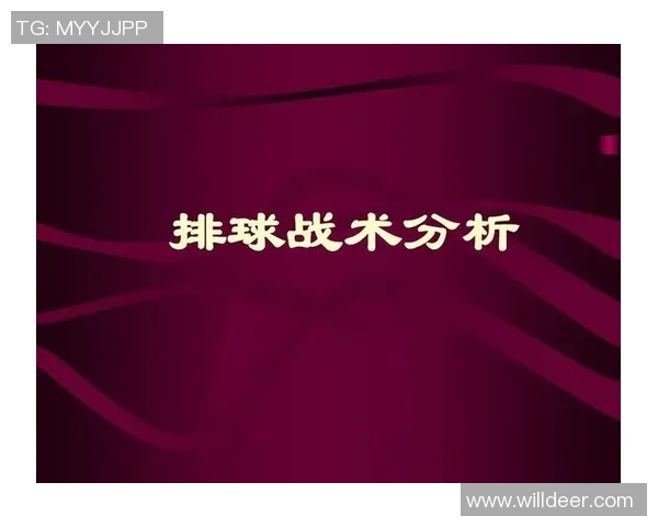 南京排球队中路突破战术解析与实战应用探讨